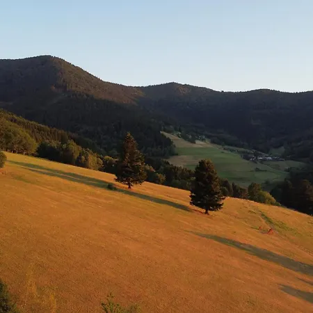 Farm stay Wahlenhof - Uebernachten Im Heubett Elzach